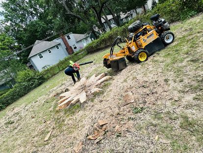 Tree service project showcase